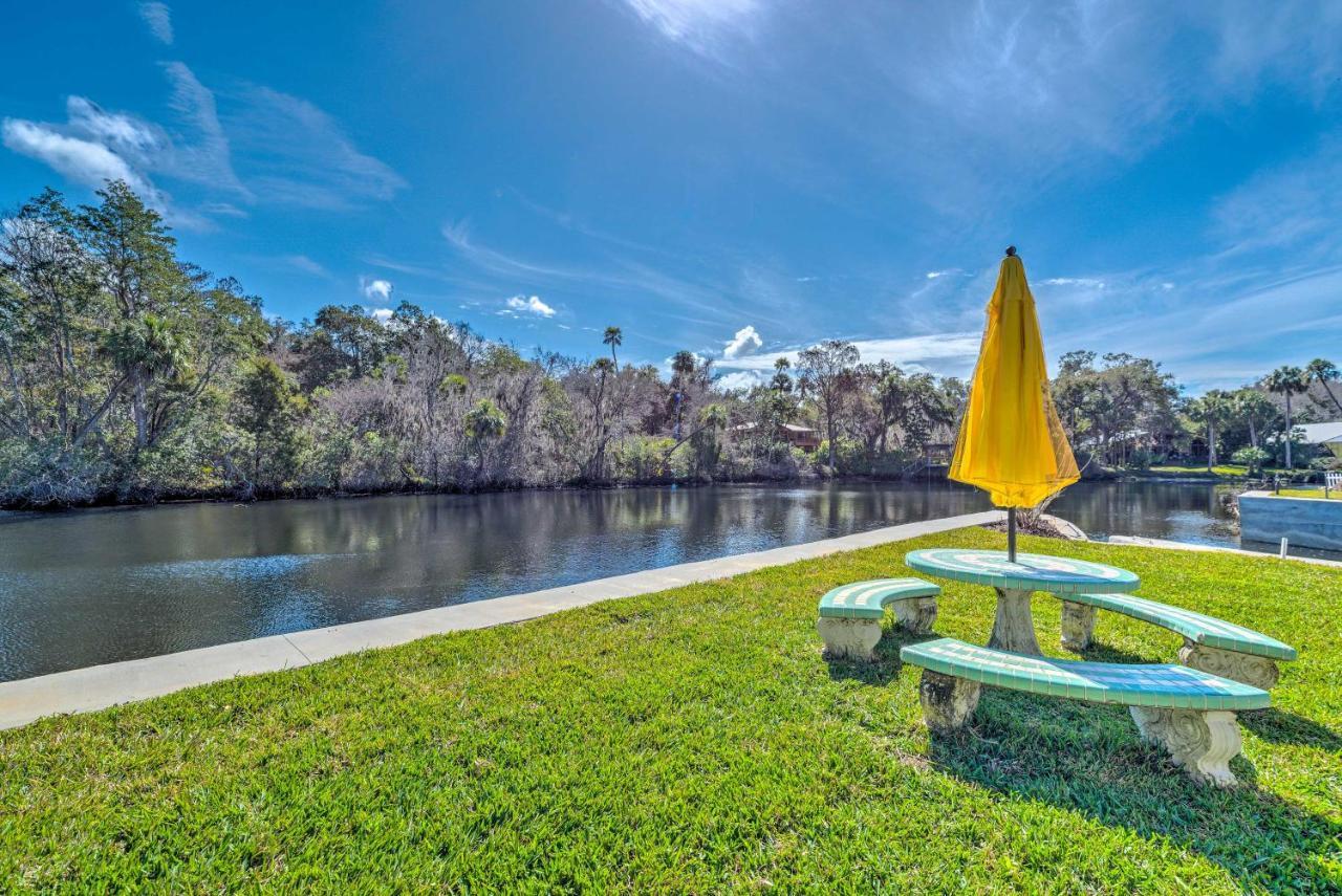 Withlacoochee River House With Dock And Kayaks! Yankeetown Exterior foto